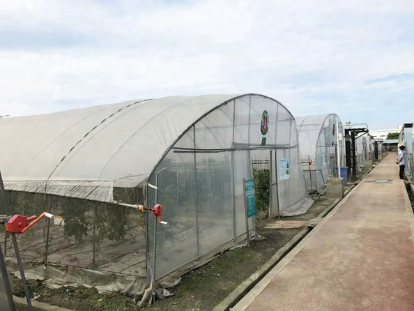 Ματ Τσάρλτον.