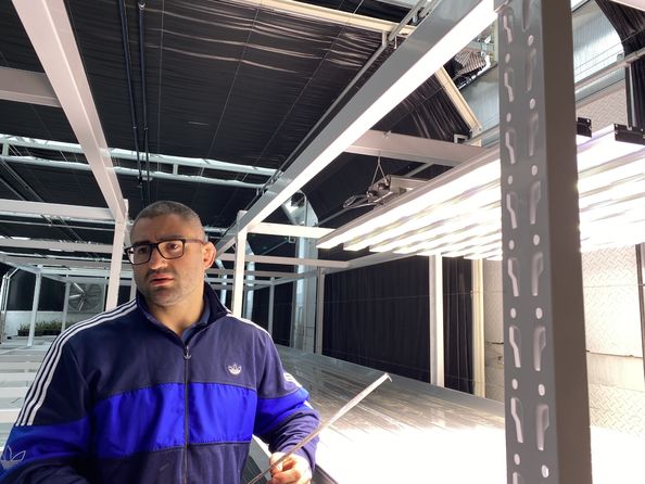 Μπρόντερικ Βάναερναμ