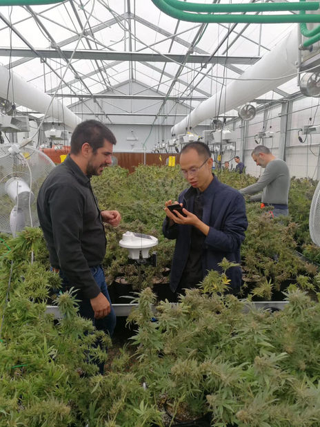 Σιλβέστερ Νάικεν