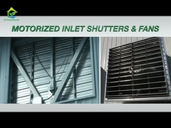 Πολυσυσκευασμένο σήραγγα Απαλλαγή από φως Διακοπή ρύπανσης θερμοκήπιο για αγρόκτημα