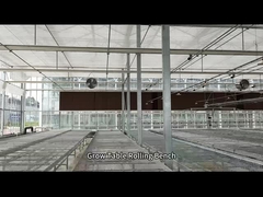 Επικεφαλής για την εκτροφή σπόρων