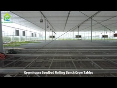 Τραπεζικό τραπέζι καλλιέργειας συρματόπλεγματος και κυλιόμενο πάγκο πλημμύρας για θερμοκήπια