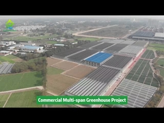 Θερμοκήπιο Καλλιέργειας Αγροτικής Λαχανοκομίας σε σήραγγα πολυ πλαστικής μεμβράνης