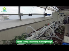 Τρύπα για φυτέψεις φράουλας