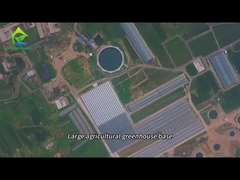 Μεγάλη βάση φύτευσης θερμοκηπίου για γεωργικές καλλιέργειες