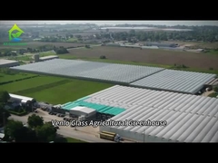 Πλήρως έξυπνο γυάλινο θερμοκήπιο για την καλλιέργεια ντοματών και πιπεριών