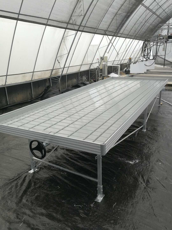 Φυτώριο θερμοκηπίου Ebb Flow Seedling Rolling Bench Grow Tables για την καλλιέργεια διαφόρων τύπων φυτών