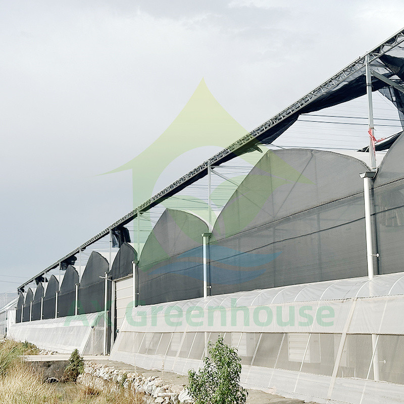 Πλαστικό PE Film Multi Span Τομάτα Poly Tunnel θερμοκήπιο για φρούτα λαχανικά με σκιά δίχτυ