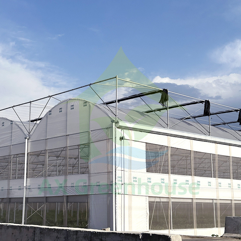 Πλαστικό PE Film Multi Span Τομάτα Poly Tunnel θερμοκήπιο για φρούτα λαχανικά με σκιά δίχτυ