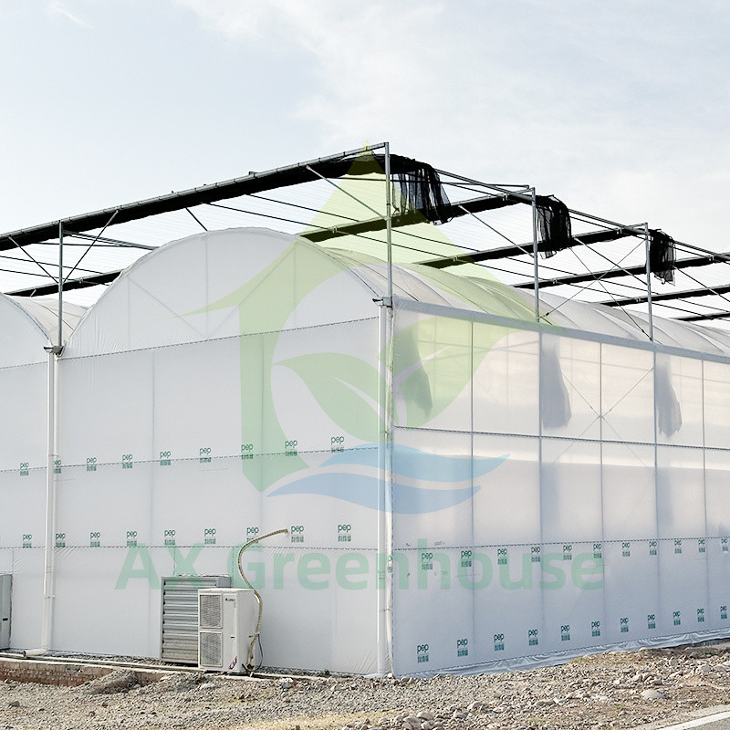 Πλαστικό PE Film Multi Span Τομάτα Poly Tunnel θερμοκήπιο για φρούτα λαχανικά με σκιά δίχτυ