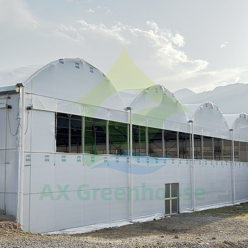 Πλαστικό PE Film Multi Span Τομάτα Poly Tunnel θερμοκήπιο για φρούτα λαχανικά με σκιά δίχτυ