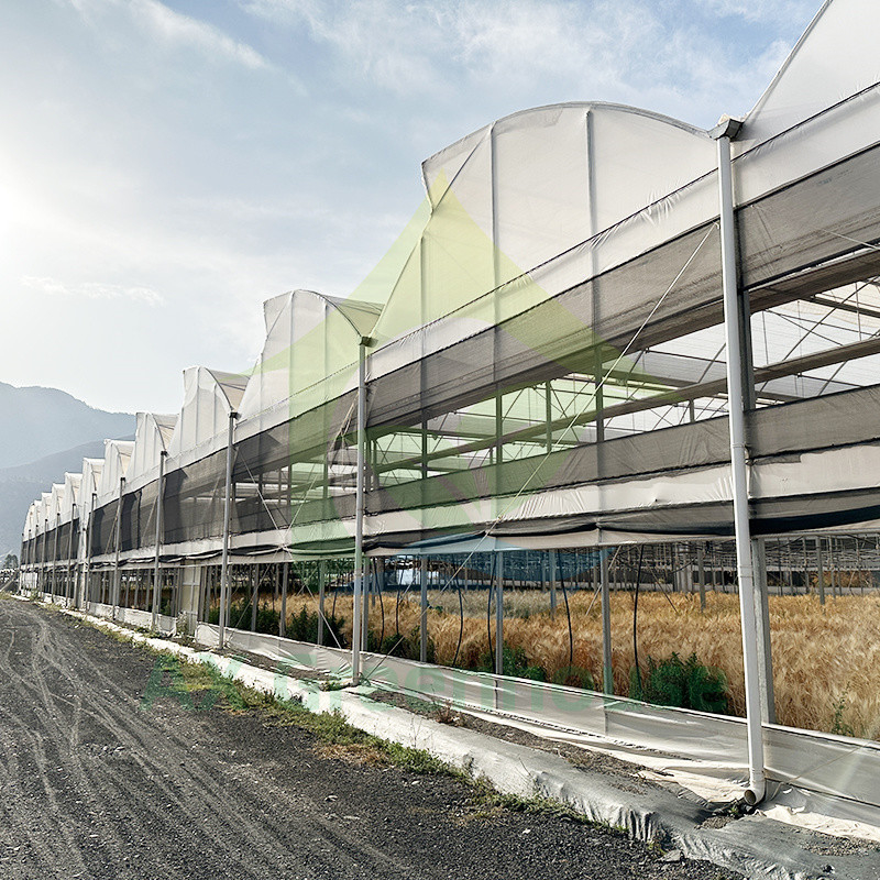 Πλαστικό PE Film Multi Span Τομάτα Poly Tunnel θερμοκήπιο για φρούτα λαχανικά με σκιά δίχτυ