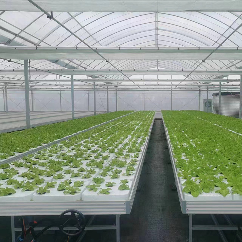 Οπωροκηπευτικό Custom Size θερμοκηπίο Grow Table Hydroponic Ebb Flood Rolling Bench