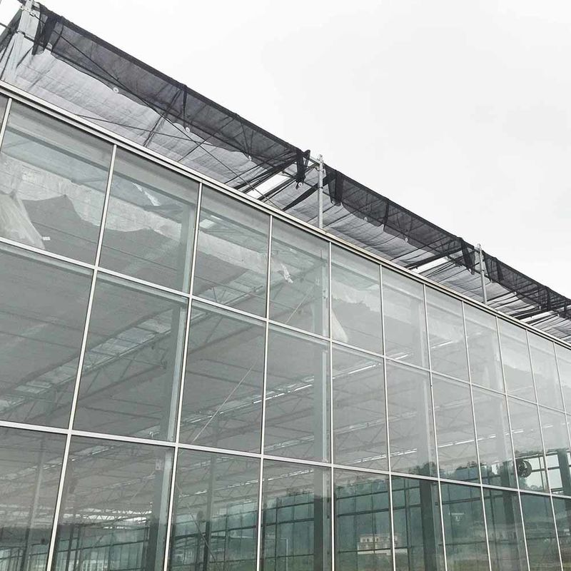 Κηπουρική Πολυ-διάμετρη Γεωργική Καλλιέργεια Λουλουδιών Τύπου Venlo Σπορά Γυάλινο Θερμοκήπιο