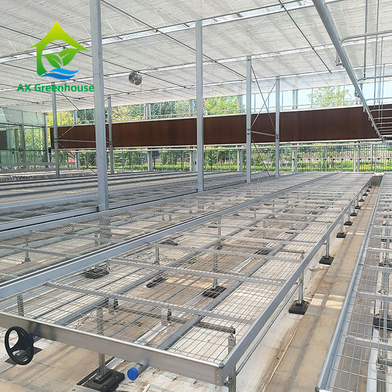 Προσαρμοσμένο θερμοκήπιο Rolling Bench Grow Table με εύκολο πλεονέκτημα κατασκευής και θερμό γαλβανισμένο χάλυβα πλαίσιο δομή