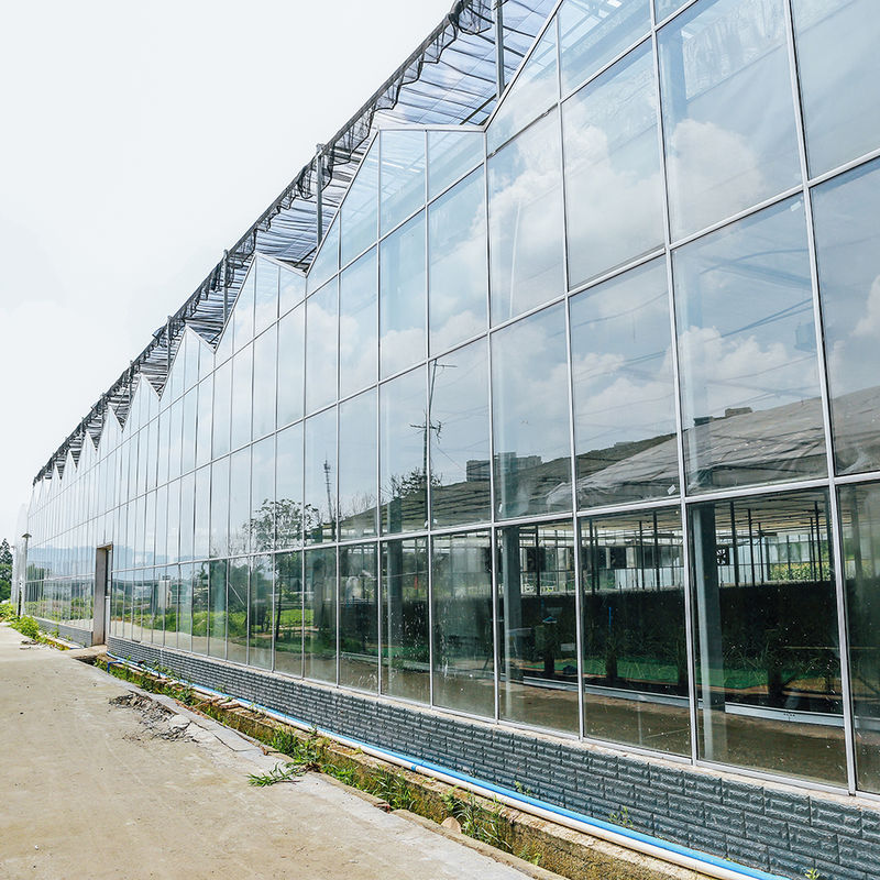 Κηπουρική Πολυ-διάμετρη Γεωργική Καλλιέργεια Λουλουδιών Τύπου Venlo Σπορά Γυάλινο Θερμοκήπιο