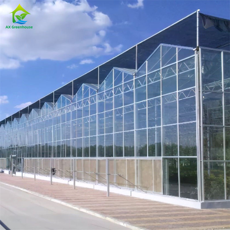 Εξοπλισμός καλλιέργειας φράουλας λαχανικών σε ανθεκτικό γυάλινο θερμοκήπιο πολυανθρακούχου - Συσκευή θερμοκηπίου 