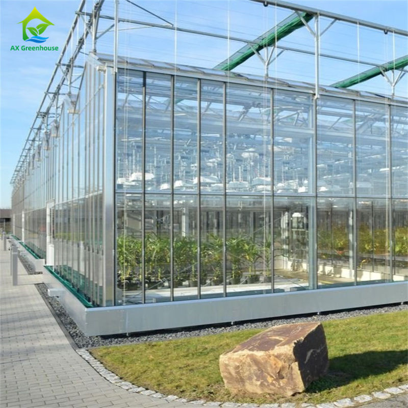 Εξοπλισμός καλλιέργειας φράουλας λαχανικών σε ανθεκτικό γυάλινο θερμοκήπιο πολυανθρακούχου - Συσκευή θερμοκηπίου 