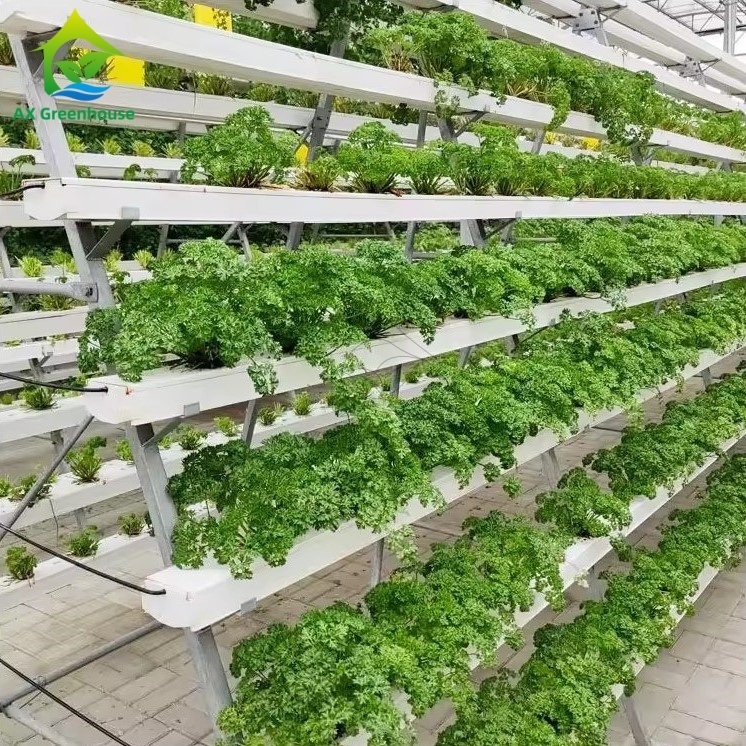 Σύστημα Υδροπονικής Καλλιέργειας Θερμοκηπίου Α-πλαισίου Τεχνική Θρεπτικής Μεμβράνης NFT Κανάλι Αποτελεσματικής Καλλιέργειας Λαχανικών