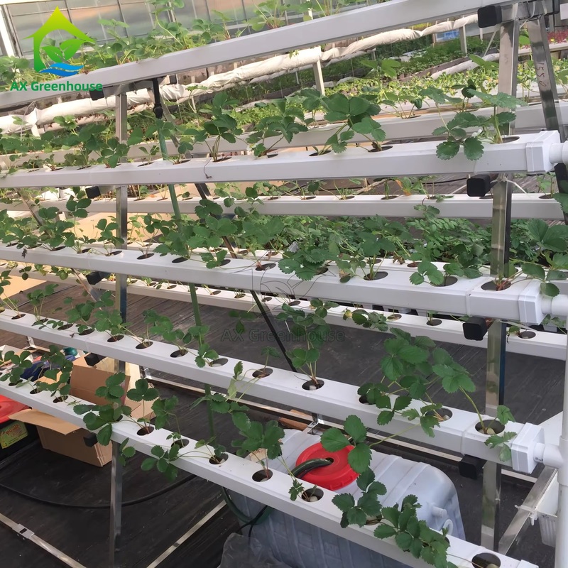 Σύστημα Υδροπονικής Καλλιέργειας Θερμοκηπίου Α-πλαισίου Τεχνική Θρεπτικής Μεμβράνης NFT Κανάλι Αποτελεσματικής Καλλιέργειας Λαχανικών