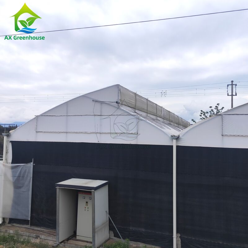 Multi-Span Light Deprivation Greenhouse with Hot-Dip Galvanized Steel Frame and Blackout Sidewall System in Customizable Dimensions