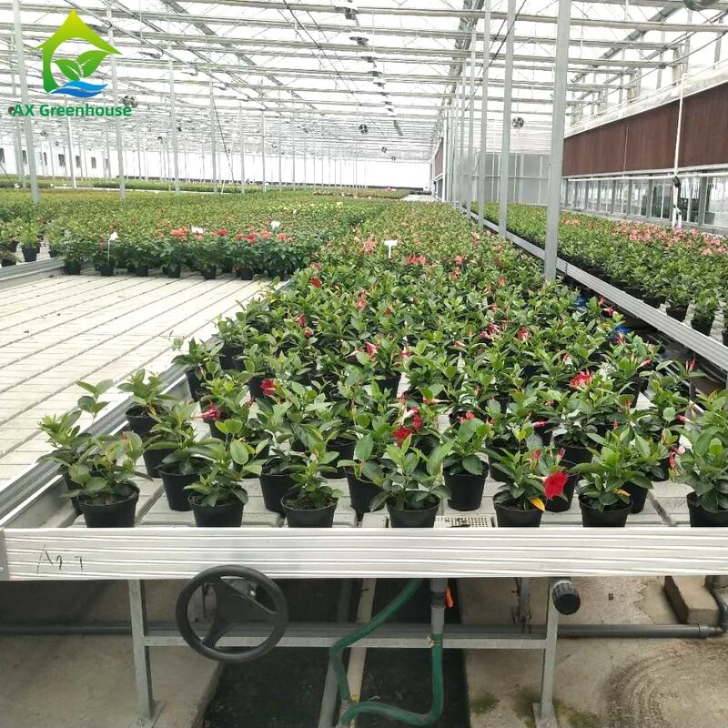 Εμπορικό Αλουμινένιο Πλαίσιο Παγκάκι Πλημμύρας & Αποστράγγισης με Ρυθμιζόμενο Ύψος και Ενσωματωμένο Δίσκο PP/ABS για Θερμοκήπια