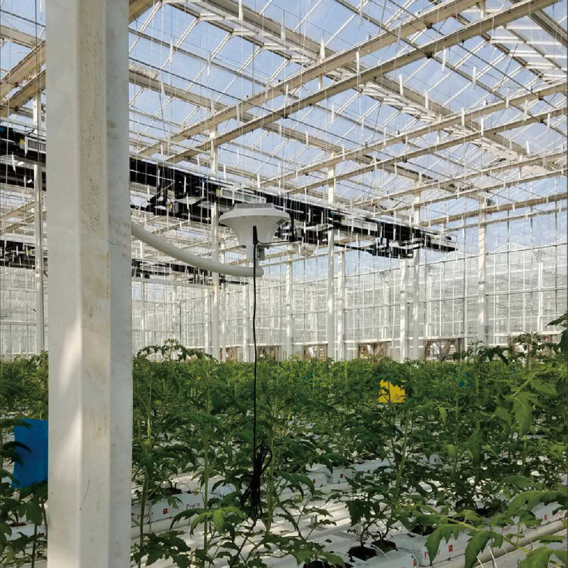 Διανοητικό σύστημα παρακολούθησης θερμοκηπίου με ισχύ 220V AC και μετρητή συγκέντρωσης CO2 0 ~ 50000 ppm για βέλτιστο έλεγχο του κλίματος