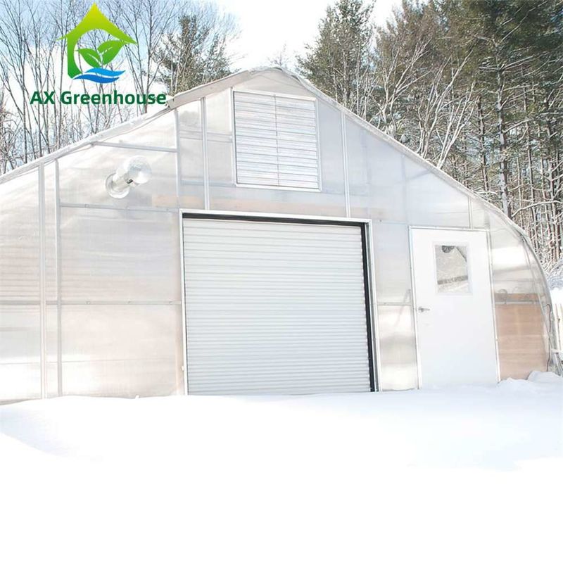 Εύκολη συναρμολόγηση Διαφανές φύλλο PC θερμοκήπιο με προσαρμόσιμο μέγεθος και θερμό γαλβανισμένο πλαίσιο χάλυβα