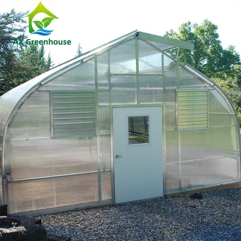 καυτό γαλβανισμένο θερμοκήπιο σωλήνων θερμοκηπίων φύλλων PC στεγών τύπων ροδάκινων πλάτους 9.6m