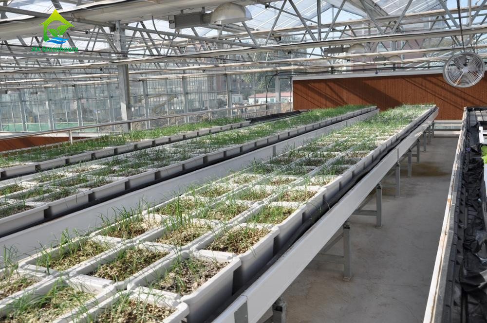 Βαθμός τροφίμων 3.05.0mm παχιά υδροπονική υδρορροή PVC NFT για τις φράουλες