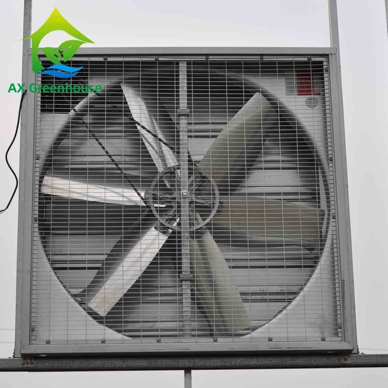 Dia 5001250mm λεπίδων υγροί τοίχων εξάτμισης ανεμιστήρες εξολκέων ανεμιστήρων βιομηχανικοί τοποθετημένοι τοίχος