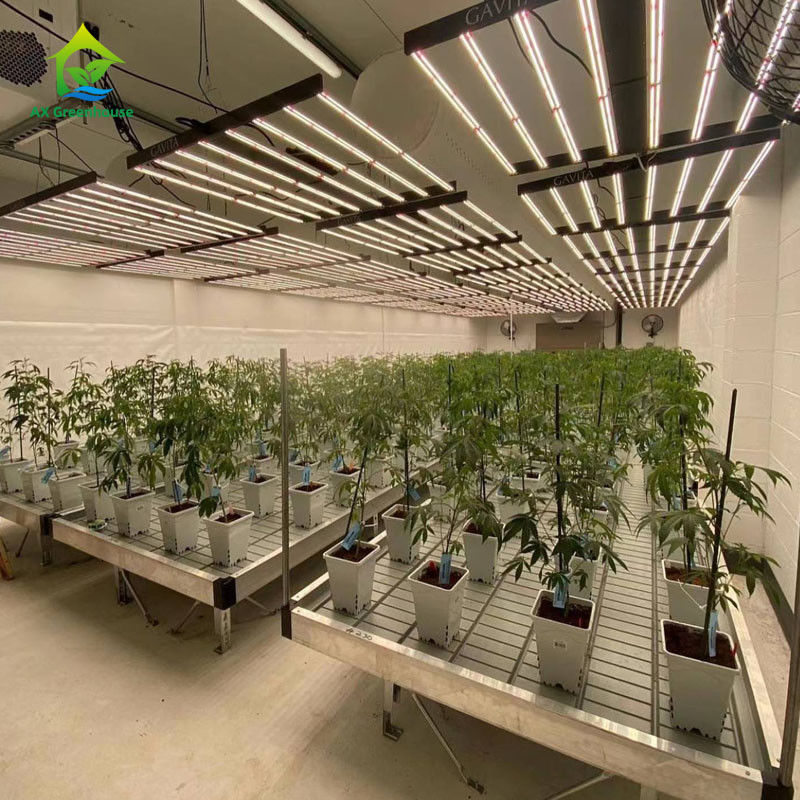 Σταθεροί, φιλικοί προς το περιβάλλον, κυλιόμενοι πάγκοι θερμοκηπίου με φύλλο πλαστικού ABS και πλαίσιο από κράμα αλουμινίου σε προσαρμόσιμα μεγέθη