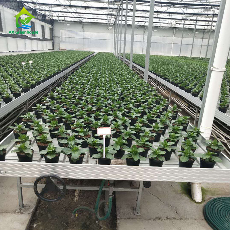 Σταθεροί, φιλικοί προς το περιβάλλον, κυλιόμενοι πάγκοι θερμοκηπίου με φύλλο πλαστικού ABS και πλαίσιο από κράμα αλουμινίου σε προσαρμόσιμα μεγέθη